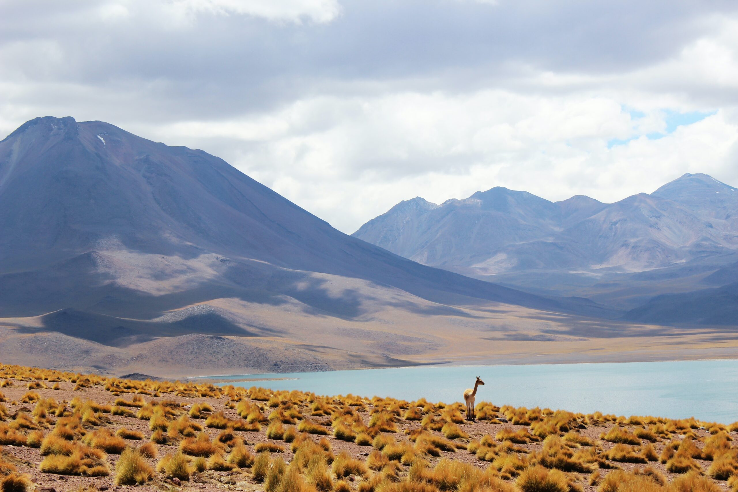 Cómo obtener la credencial de Operador de drone en Chile